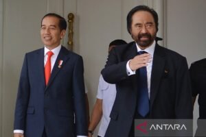 Presiden Jokowi Bertemu Surya Paloh