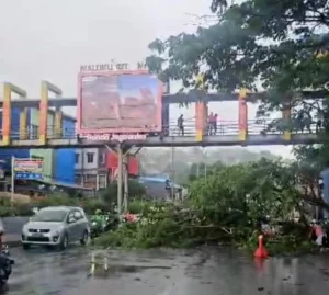 BMKG: Waspada Cuaca Buruk di Maluku Hingga 8 Februari