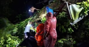 1 Warga Tewas Tertimpa Pohon Tumbang, Pasien RS Otto Kuyk Dievakuasi