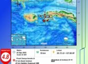 Ambon Diguncang Gempa Magnitudo 4,8, Warga Sempat Panik