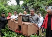 Wamen Kehutanan Puji Hutumuri Jadi Role Model Nasional