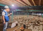 Pemerintah Jaga Tarif Listrik Tetap Terjangkau