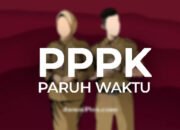 Lolos Seleksi, Sejumlah Calon PPPK Paruh Waktu SBT Pilih Mundur