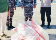 18 Ketam Kenari Dilepas ke Alam Tanimbar
