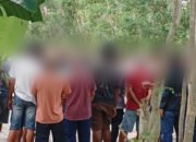 Sabung Ayam Marak di Pelita Jaya